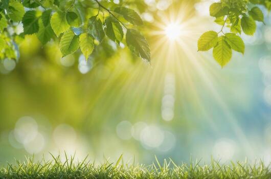 A leafy green plant with a bright green color green blurred background in subtle bokeh and sun rays at back, with copy space photo
