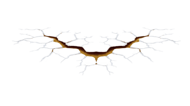 complexo, ramificação relâmpago padronizar spreads simetricamente através transparência fundo, semelhante a neural rede ou árvore raízes. intrincado Projeto evoca sentido do energia e conectividade png