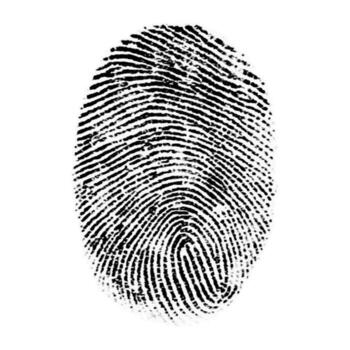 Black fingerprint isolated on white background. Biometric identity symbol for security, privacy, login, access control and detective design. vector