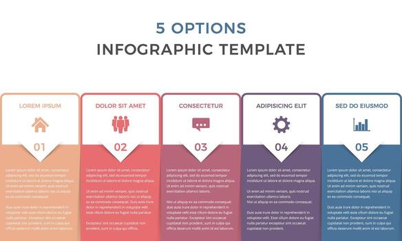 Horizontal business infographic design template with five options or steps, process, workflow template vector