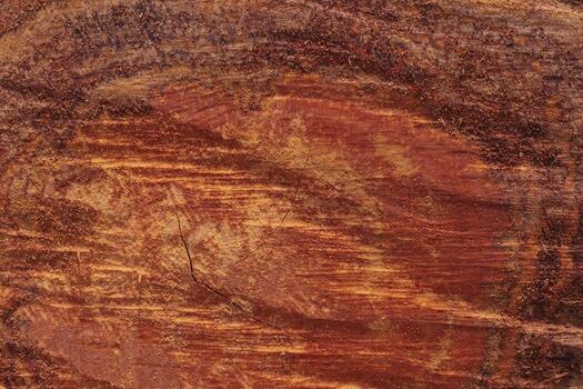 Abstract background pattern of longan tree core texture photo