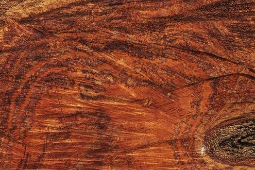 Abstract pattern of longan tree core texture background photo