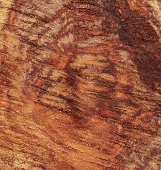 Abstract pattern of longan tree core texture photo