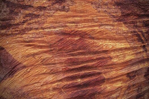 Background Abstract pattern of longan tree core texture. photo