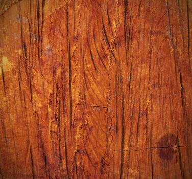 Abstract pattern background of longan tree core texture. photo