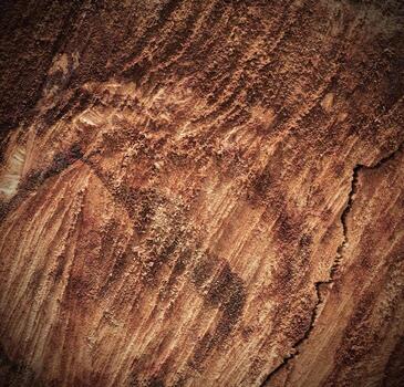 The Abstract pattern of longan tree core texture. photo
