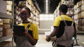 anställd använder sig av streckkod scanner på kartong lådor i uppfyllelse Centrum. organiserad hyllor, paket etiketter och rutt planera Stöd effektiv distribution och sändning. logistik nav. kamera a. video