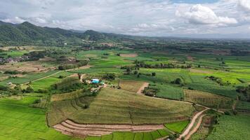 antenn se av en berg bergsrygg med molnig himmel och färsk grönska. lugna och lynnig landskap lämplig för dokumentärer och stock antal fot. video