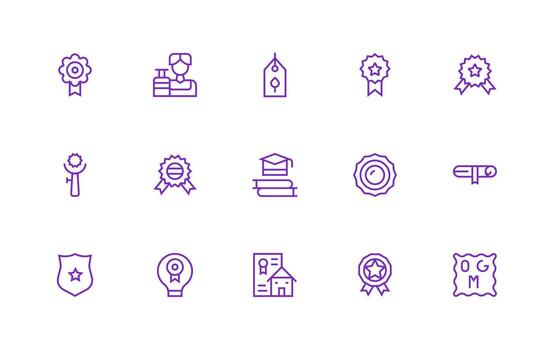 15 Regular Line Icons for Certification Graphics Professional Icon Set vector