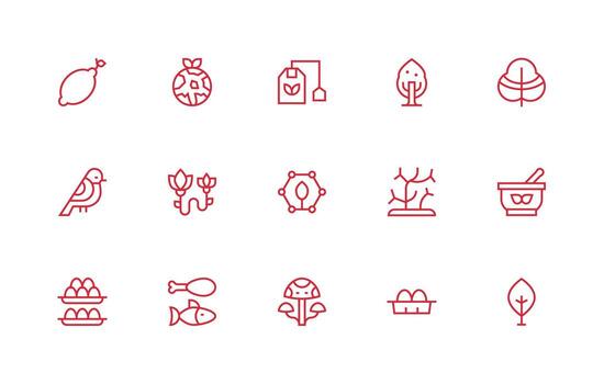 Organic Icon Set with 15 Regular Line Graphics Multi-Style Icon Collection vector