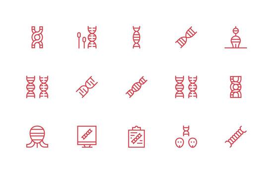 Chromosome Icon Set with 15 Regular Line Graphics Professional Icon Set vector