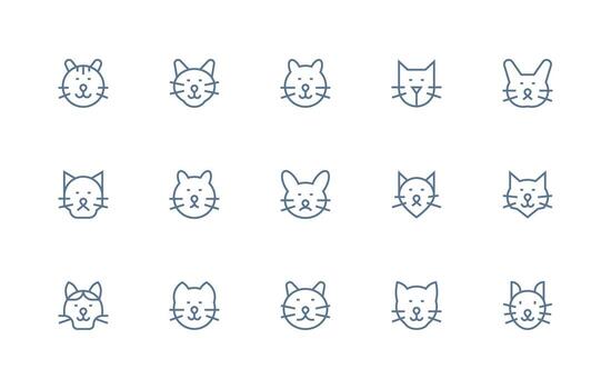 Feline featuring 15 Icons in Regular Line Design Core Icon Collection for Daily Tasks vector