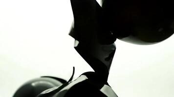 abstrakt svart och vit vätska former och former roterande och studsande video