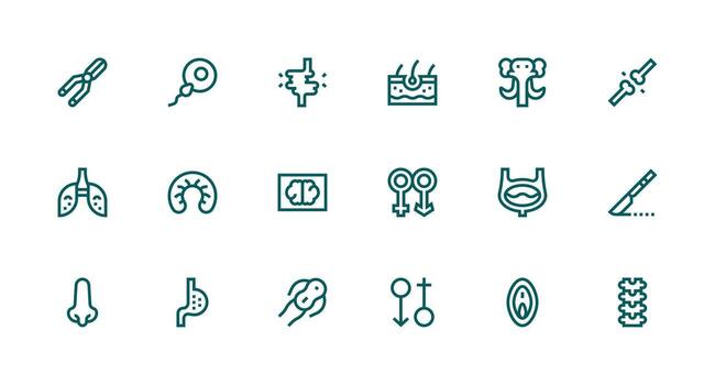 Anatomy Icon Set with 18 Strong Stroke Line Graphics Clear and Concise Icon Set Collection vector