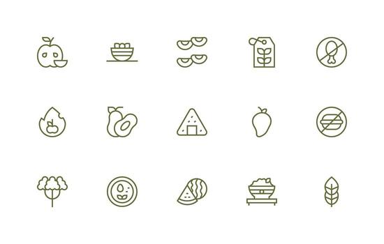 15 Regular Line Icons for Vegetarian Graphics Clear and Concise Icon Set Collection vector