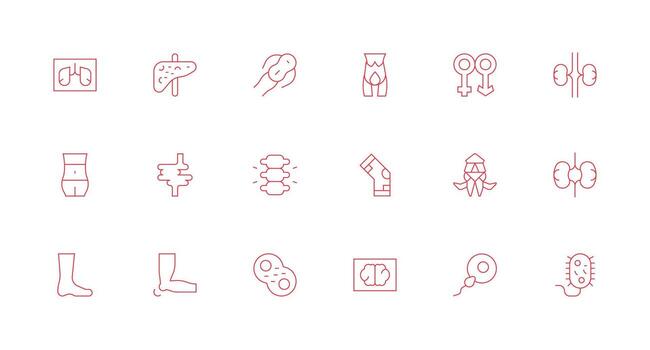 Minimal Line Style Anatomy Icons with 18 Vectors Scalable Icons for All Themes