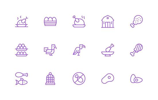 Regular Line Icons from Poultry Set with 15 Vectors UI and UX Focused Icon Collection