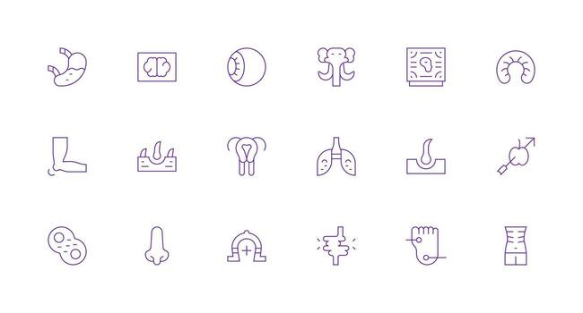 18 Minimal Line Icons for Anatomy Graphics Flexible Icon System for Web Interfaces vector