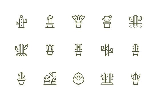 15 Regular Line Icons for Cactus Graphics Neutral Style Icons for Any Project vector