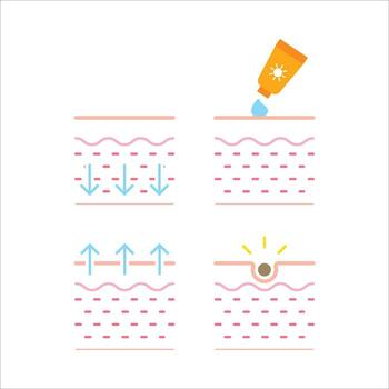 A series of four images of a face with a bottle of sunscreen being applied to it. The images show the process of applying sunscreen to the face, with the bottle being poured onto the face vector