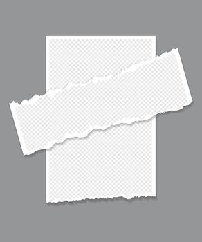 Torn paper on gray surface vector
