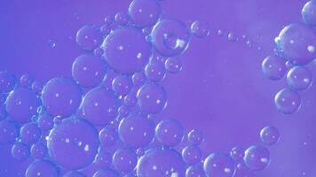 vatten olja bubbla. färgrik bubblor flytande i flytande med abstrakt mönster. olja och vatten samspel skapar vibrerande former i färgrik bakgrund. vetenskap och abstrakt konst bakgrund animering video