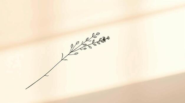 A drawing of a plant with a stem photo