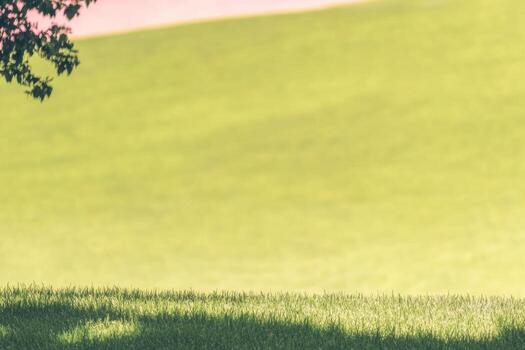 Lush green landscape with soft sunlight creating a serene atmosphere photo