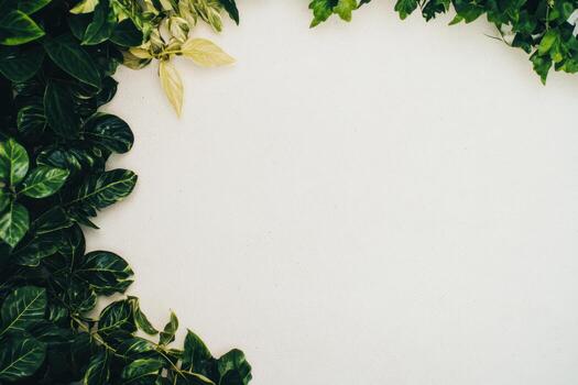 Green leaves create a natural frame on a light background photo