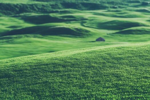 Rolling green hills with a small cabin under a clear sky in nature photo