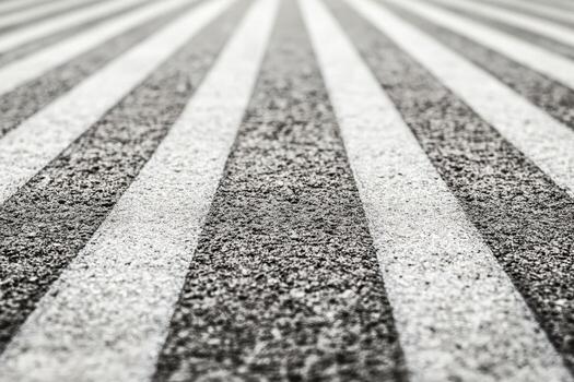 Stripes on a crosswalk seen from a low angle during daylight hours photo