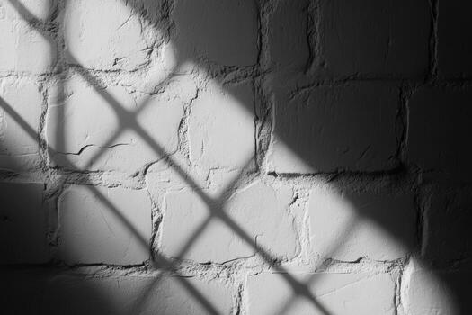 Intricate shadow patterns on a textured wall during daylight hours photo