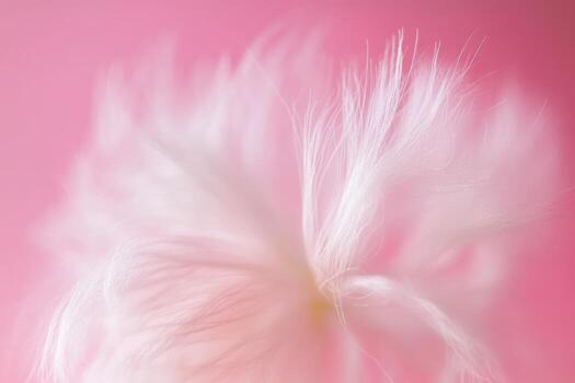 Soft white fibers swirling gently on a pink background photo