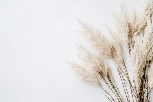 Pampas grass arranged elegantly on a light background for decoration photo