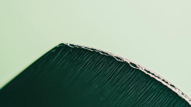 Close-up view of a textured black surface against a soft green background photo