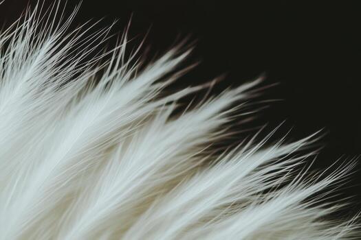 Soft white fibers create a delicate texture in natural light background photo