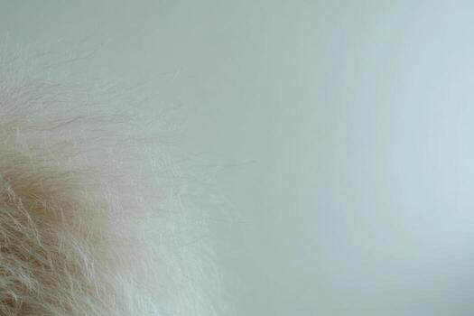 Fluffy white texture against a subtle light background in a calm setting photo