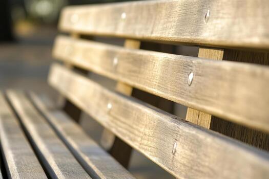 Sunlight hitting a wooden bench in a serene park setting during afternoon photo