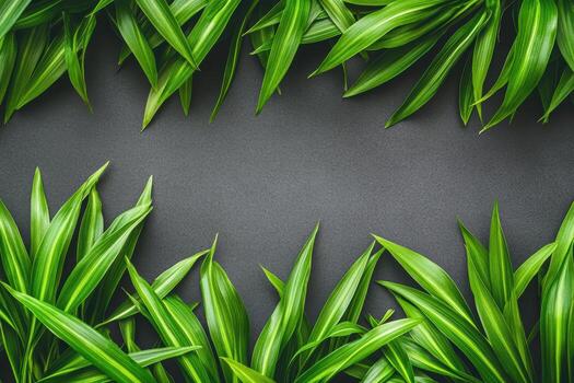 Lush green leaves framing a dark background in a modern design element photo