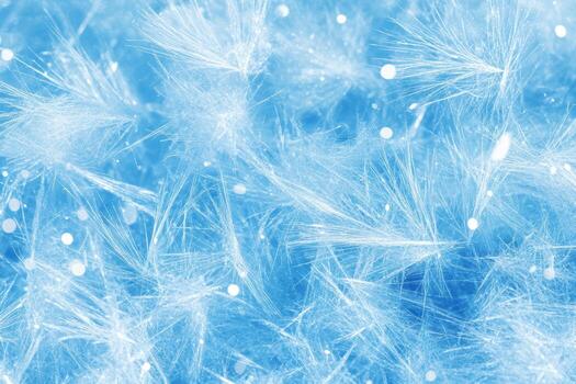 Frosty crystals form intricate patterns on a winter morning photo