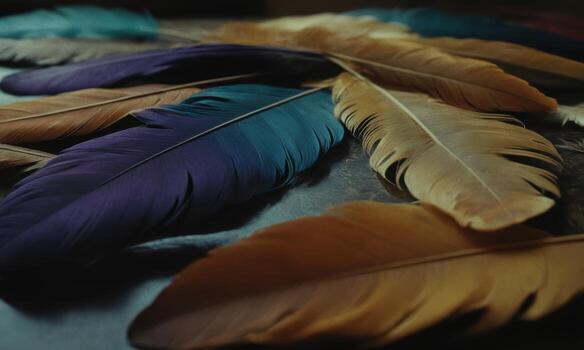 Colorful feathers scattered on a dark surface create a vibrant display photo