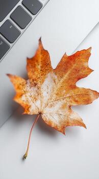 Orange Autumn Leaf Resting on a Light Surface Next to a Laptop Keyboard in a Cozy Workspace photo