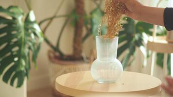 seco flor arranjo dentro uma vaso video