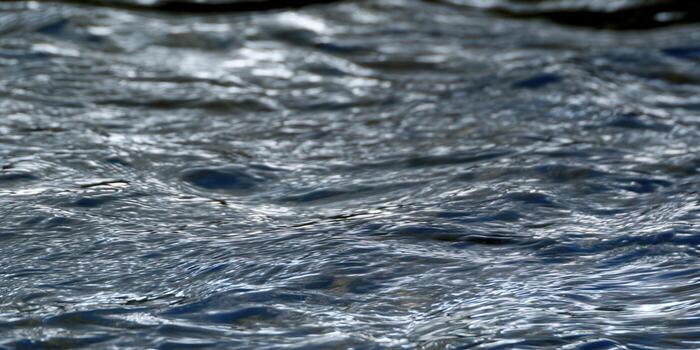 A serene close-up shot of water with gentle waves and a smooth surface. photo
