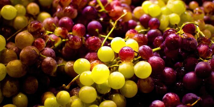 A close-up of a cluster of fresh, ripe grapes in various colors. photo