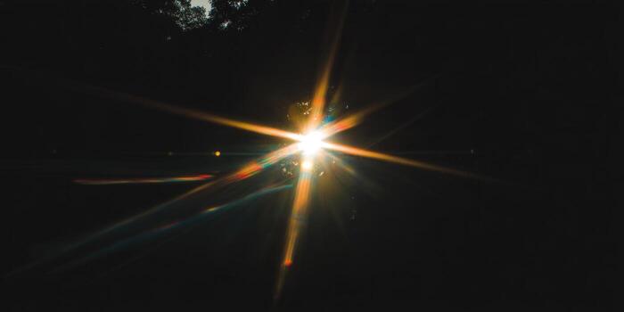The sun radiates through the trees, creating a beautiful and dramatic lens flare in a dark setting. photo