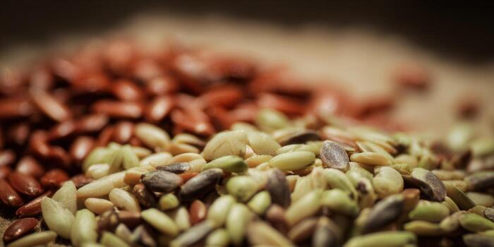 Macro shot featuring an assortment of seeds, highlighting their textures and nutritional value. photo