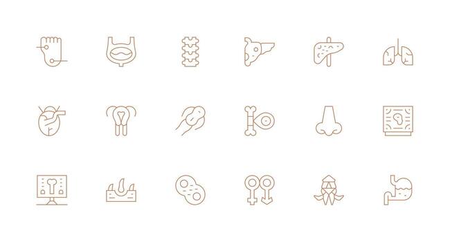 Anatomy Visual Pack containing 18 Minimal Line Icons Clean Icon Collection for Web Use vector