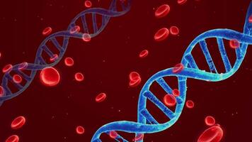 Genetic Code And Blood Circulation A 3d Animation Of Dna Double Helix Structures Interacting With Red Blood Cells In A Biological System.a Macro View Of Dna Strands And Blood Cells,a Scientific Image video