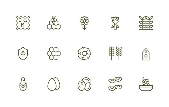 15 Regular Line Vectors for Organic Theme Minimal Icon Set for Interface Projects